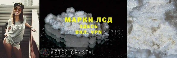 молекула духа Арсеньев