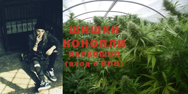 молекула духа Арсеньев
