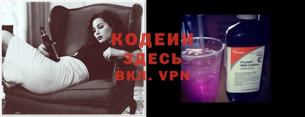 молекула духа Арсеньев