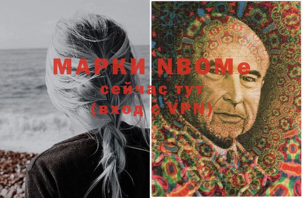 молекула духа Арсеньев