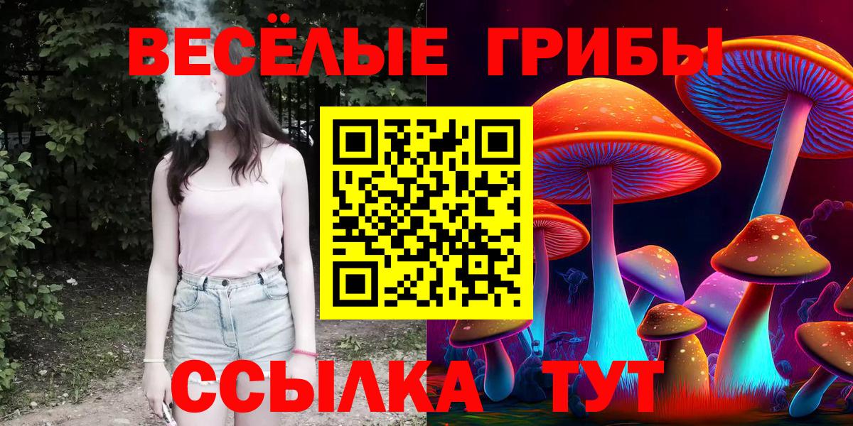 Псилоцибиновые грибы Magic Shrooms  где купить   Корсаков  Галлюциногенные грибы Cubensis  Вход с VPN 